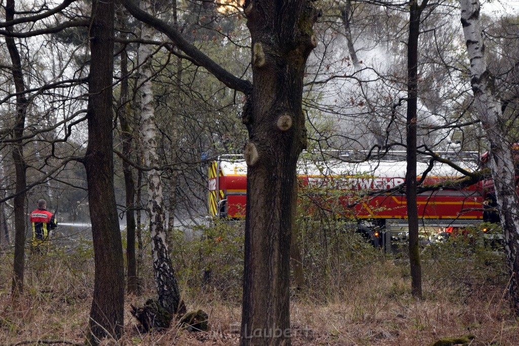 Waldbrand Wahner Heide Troisdorf Eisenweg P491.JPG - Miklos Laubert